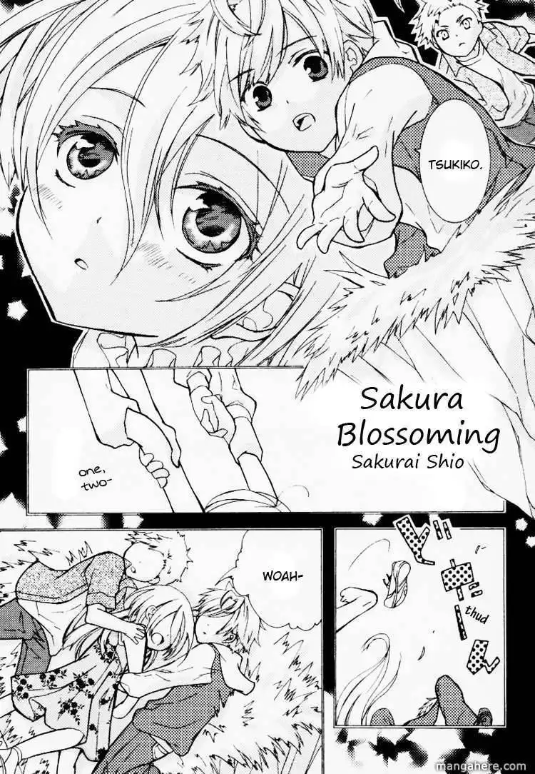 Starry Sky - Four Seasons - Anthology Chapter 1 6